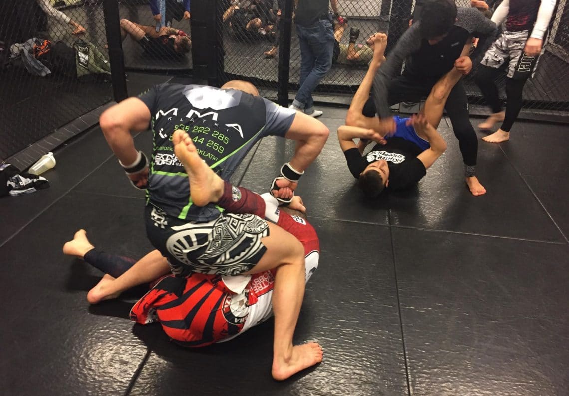 Deltagare från åtta länder på helgens kurs