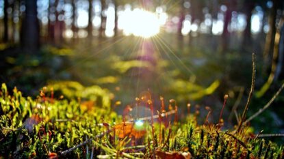 Stängt på valborgsmässoafton och 1 maj