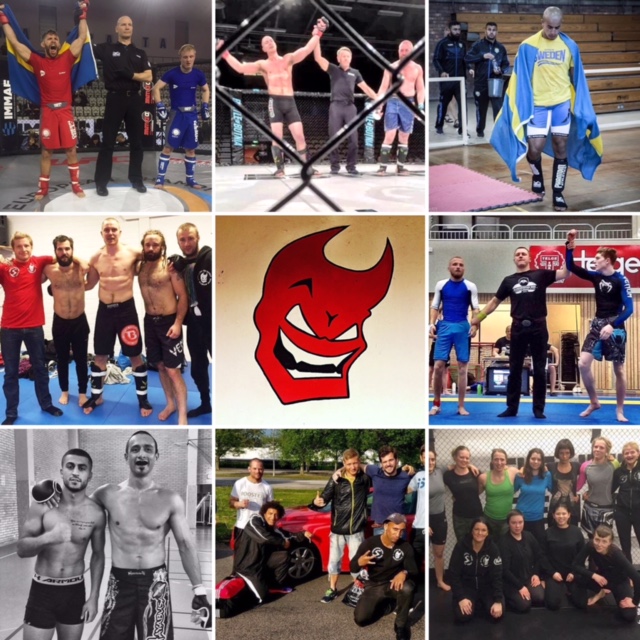 Smmaf utser gladius mma till Årets förening!