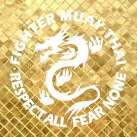 *update 2017-04-20* fightcard fmt open 28