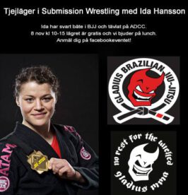 Sw seminarie med ida hansson i november