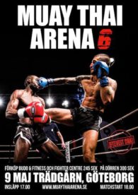 Muay thai arena 6 på trädgår'n i göteborg