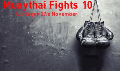 Resultat muaythai fights 10