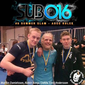Tre medaljer för gladius mma på subo16