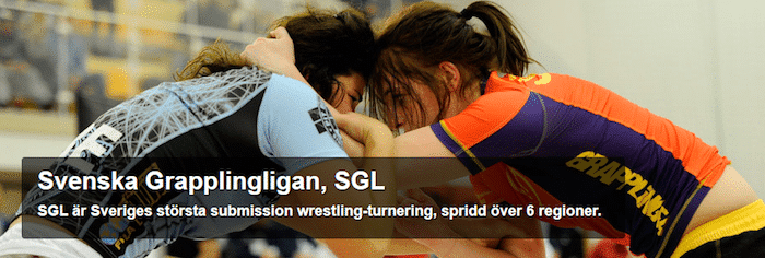 Sex tävlande från gladius mma i sgl finalen 2014