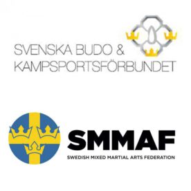 Ordföranden x 2: jesper gunnarson och august wallén