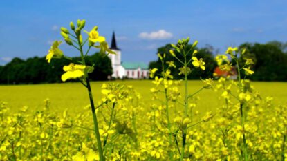 Stängt på pingstdagen