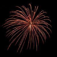 Mycket bra första dag på fenix bjj tournament