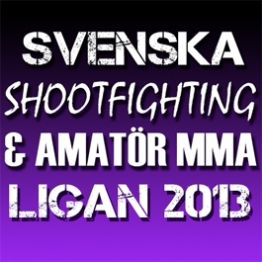 12 tävlande på alive swt 13