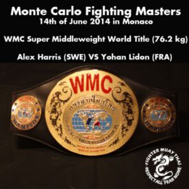 Intervju med lisa pihl på mma viking.com