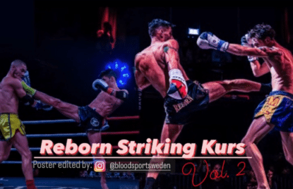 "reborn to strike" vol 2